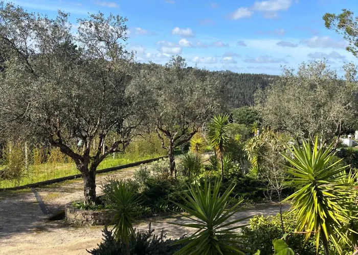 Holiday home Casa Da Feira - Obidos
